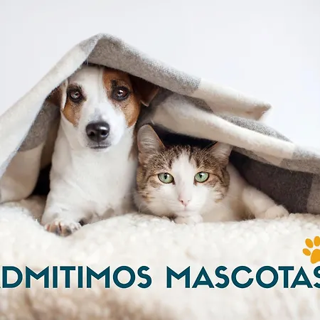 Tuyas 3000 * Sierra Nevada