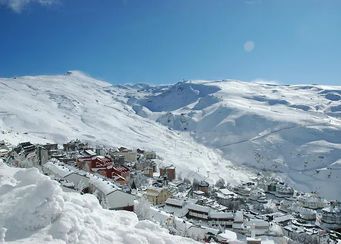 Tuyas 3000 Sierra Nevada